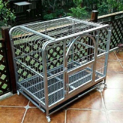 哈士奇犬巨型_超y大狗笼成犬金毛哈士奇巨型拉布拉多萨摩耶方管大型犬