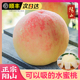 正宗无锡阳山水蜜桃子新鲜水果整箱应当季湖景白凤礼盒毛现摘现发