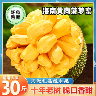 海南菠萝蜜一整个新鲜水果包邮黄肉波罗蜜40斤当季整箱三亚特产红