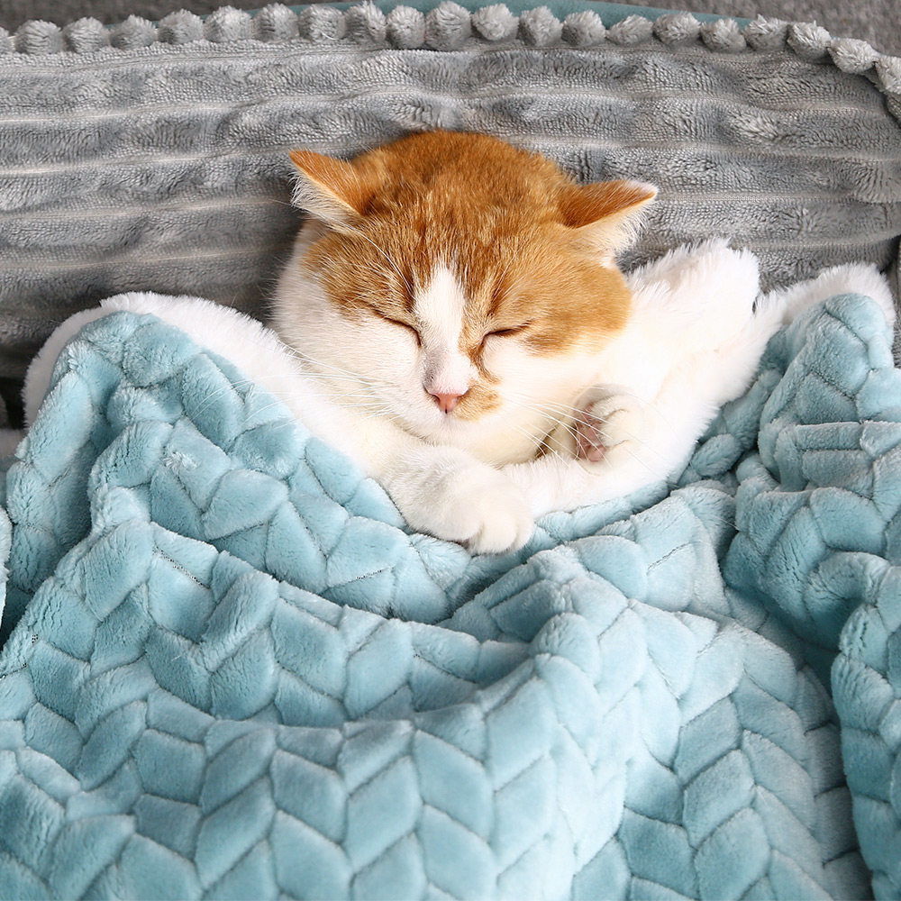 (今日6折)宠物毛毯猫垫子睡觉用加厚被子猫窝冬季保