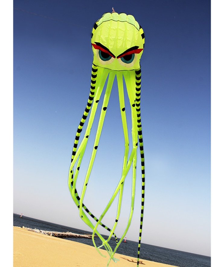 2021新款风筝创意大章鱼网红风筝高档软体成人微e风易飞无骨风筝