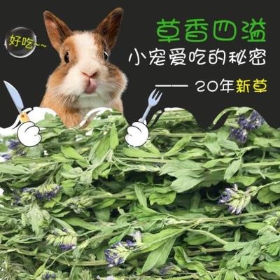 已售0￥31￥31粮食成年兔子兔兔幼.饲料苜蓿宠物粮草爱吃提主粮摩西2.