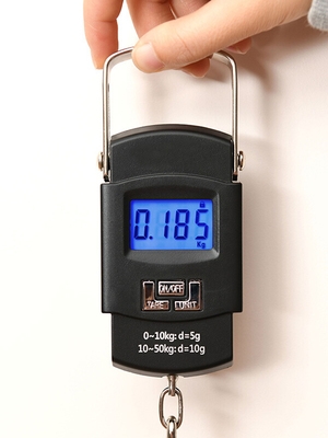 日本家用s迷你称重电子称手提秤便携式高精度弹簧秤快递称小秤行