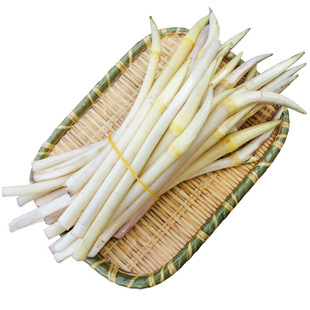 新鲜藕带2022现采现发湖北洪湖藕带藕尖藕簪藕肠子时令蔬菜 顺丰