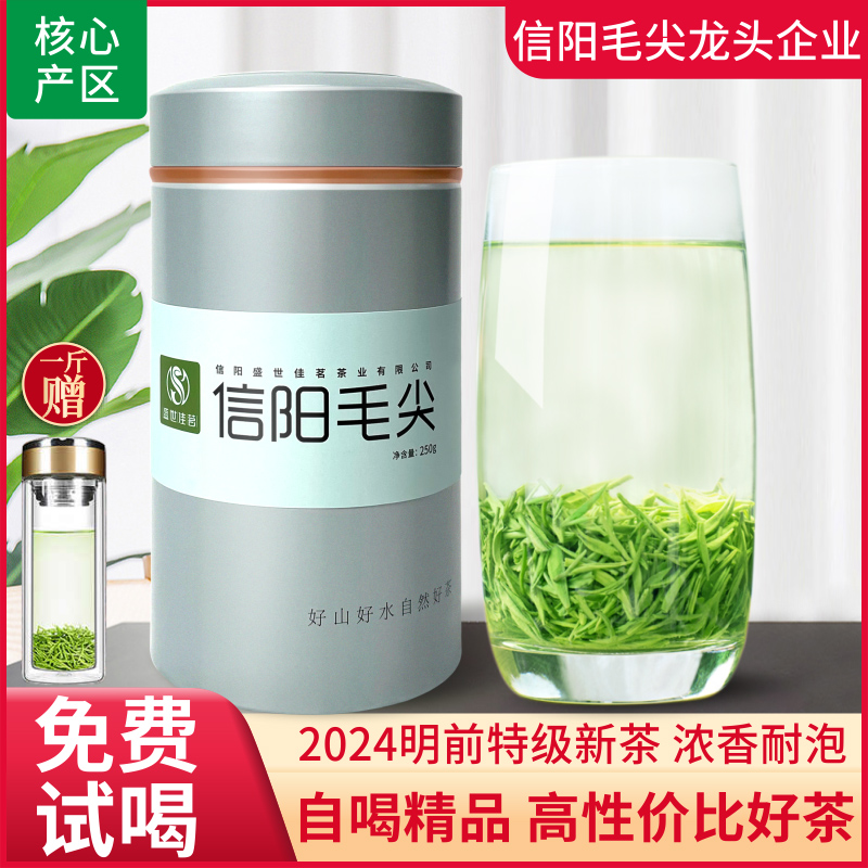 绿茶信阳毛尖2024新茶明前特级嫩芽浓香型散装原产毛尖茶叶500g