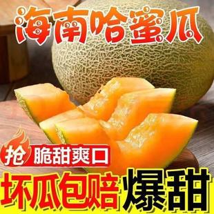 海南哈密瓜10斤当季新鲜水果一整箱网纹甜瓜孕妇西州蜜瓜香瓜