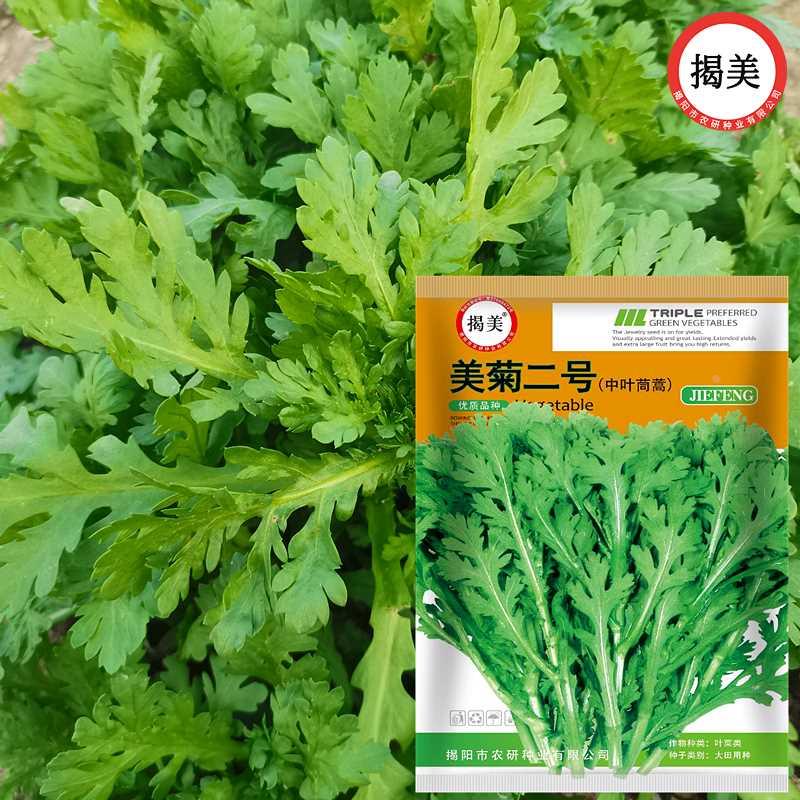 菊中叶揭二号茼蒿美美种子 中叶皇帝菜种子 厂彩袋包装20克装