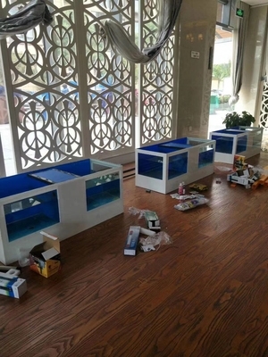 亲亲鱼鱼疗缸足疗缸图片