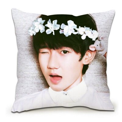 定制王源抱枕大额优惠券