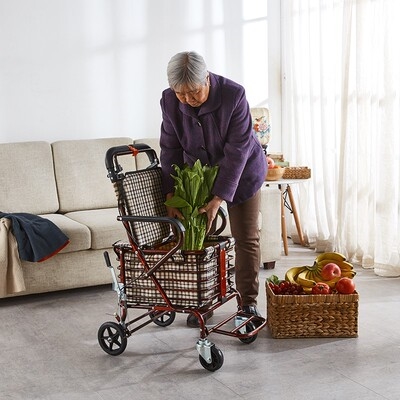 老人手推车可坐代步家用图片