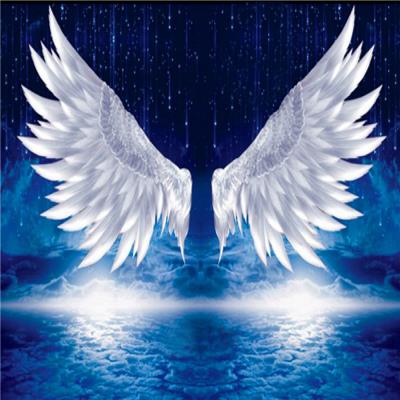 新品抖音新款主播背景布网红男女3d直播间室内翅膀韩版温馨大气背