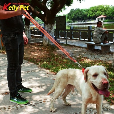 尼龙跑步拉带狗狗牵引绳图片