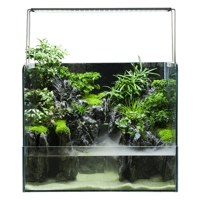 水陆缸茶几外生态鱼缸套餐景观大中d室内小雨林缸山水成品造景定