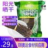 野藤嫩長幹豇豆500g陽光曬幹無添加幹豆角幹貨脫水豆角蔬菜袋裝 野藤嫩長幹豇豆500g陽光曬幹無添加幹豆角幹貨脫水豆角蔬菜袋裝