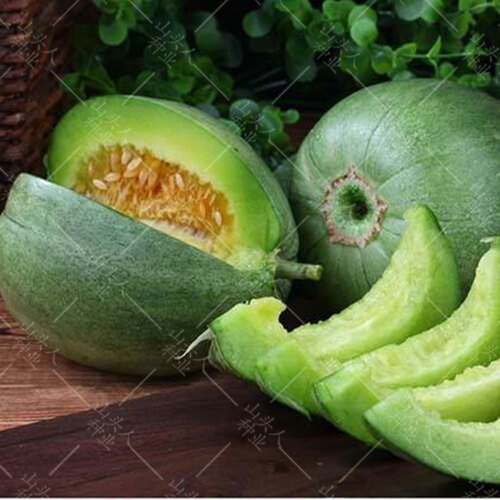 冠香甜瓜种子绿皮绿肉薄皮香瓜家庭水果蔬菜家庭园艺种子