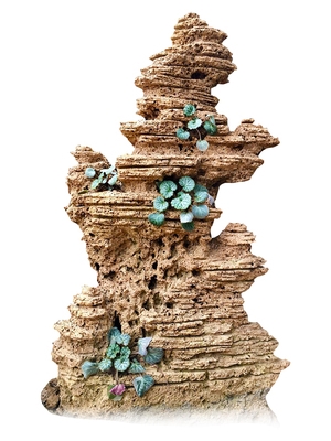 吸水石假山盆景盆石头天然大图片