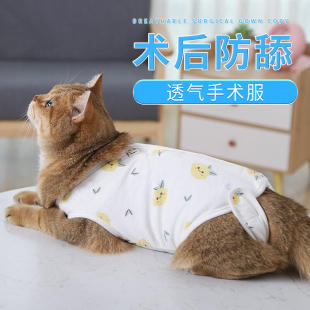 新款猫咪绝育服夏季薄款母猫手术衣服断奶服防舔防掉毛猫猫透气术