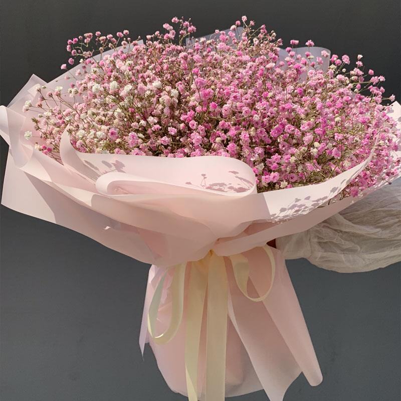 云南天然风干蓝色满天星干花一大束花束超f大情人节送女友生日礼