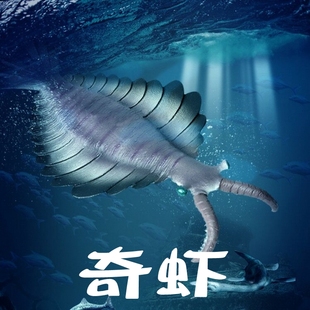 林畅模玩寒武纪奇虾儿童仿真动物玩具模型史前深海洋生物远古巨兽