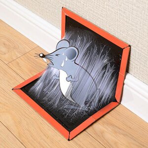 老鼠粘强力价格