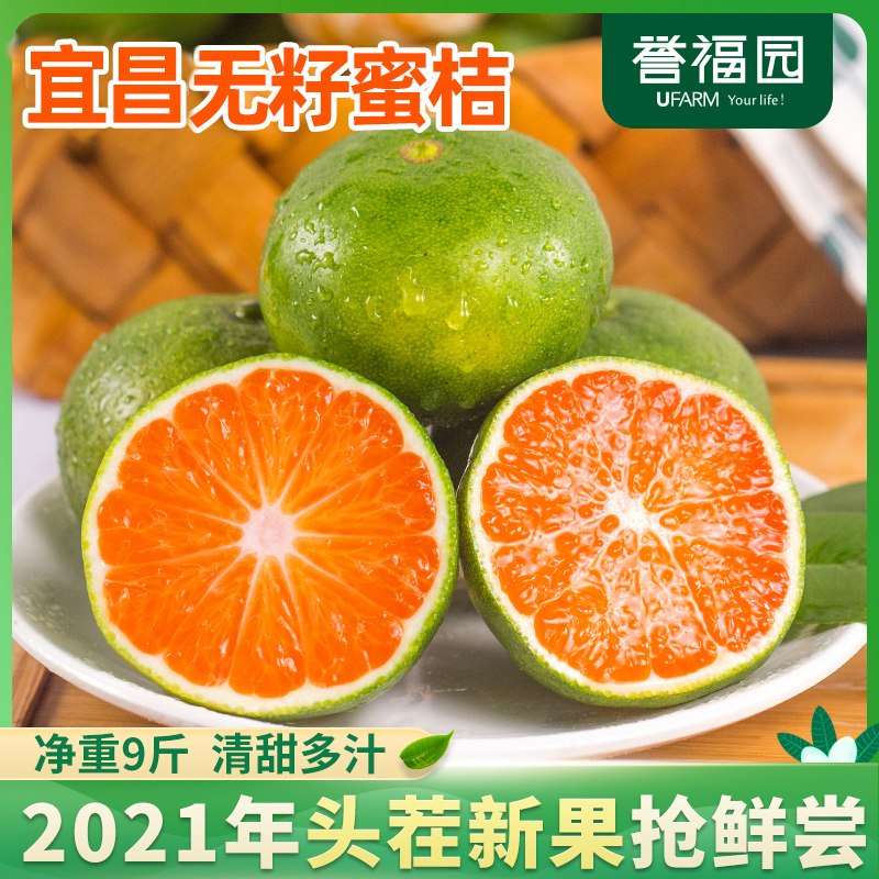 【产地直发】宜昌无籽当季新鲜蜜桔