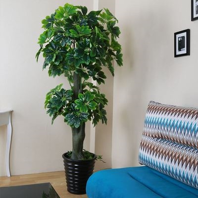 室内装饰花卉绿植盆栽大盆景图片