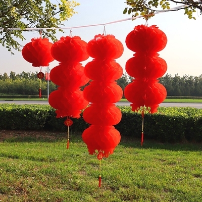 挂饰小红灯笼结婚庆节日户外装饰招财春字连串灯笼大红蜂窝纸灯笼串中