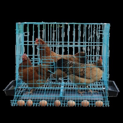 鸡笼自动清粪家用小号蛋鸡笼鹌鹑养殖笼自动滚蛋折叠鸡笼子鸡舍