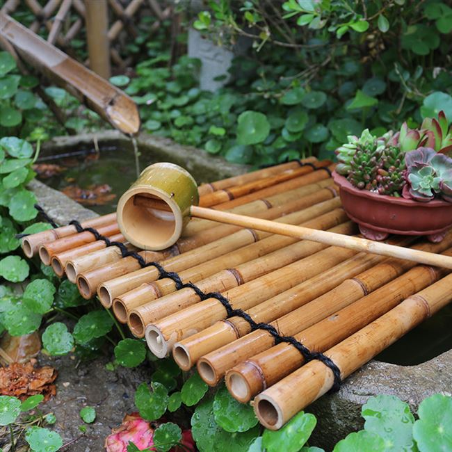 小竹排竹子图片