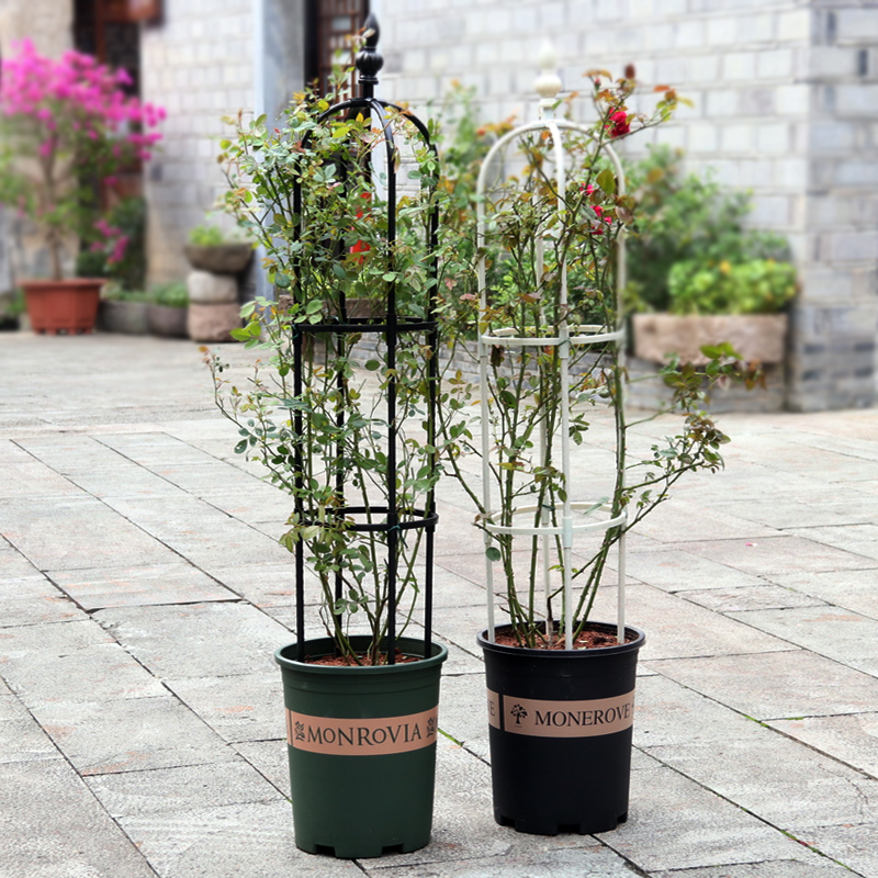 园艺花支架植物爬藤架月季花铁线莲攀爬架组装花架牵牛花黄瓜架子