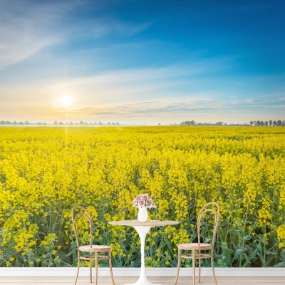 墙画墙纸贴画立体粘装饰墙面贴纸大自然背景自草原墙风景3d贴山.