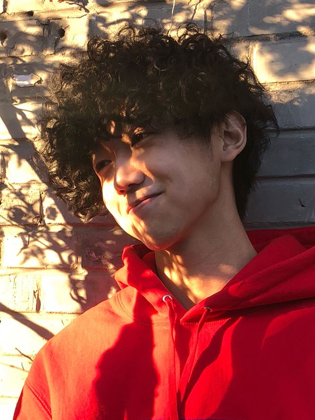 卷发爆炸头造型孟子坤假发男女欧美短绵羊头小卷非洲黑人夸张头套