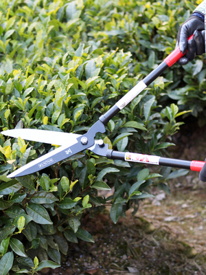 园林剪加长柄园艺修枝剪整枝剪树枝大剪刀花剪绿化工具草坪修剪刀