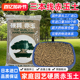 日本原装进口三本线赤玉土正品营养土养花通用多肉盆景专用颗粒土