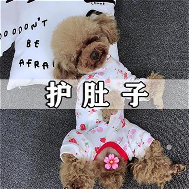 狗狗睡衣a护肚子衣服秋冬泰迪母加厚E时尚秋款P宠物包肚衣防着凉