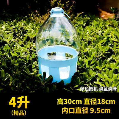 鸽子饮水器自动喂水大号图片
