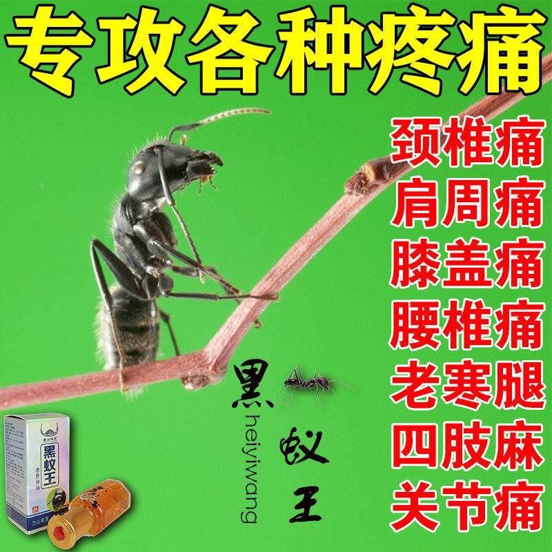 黑蚂蚁透骨精油图片