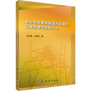 电力系统宽频振荡开环模式谐振原理与分析方法杜文娟,王海风9787030581129工业/农业技术/建筑/水利（新）