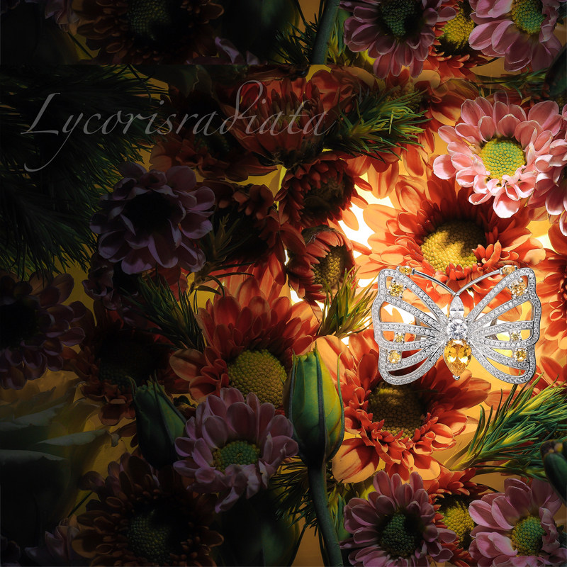 lycorisradiatalr彼岸花丛林系列黄钻蝴蝶戒指锆石lr珠宝原创
