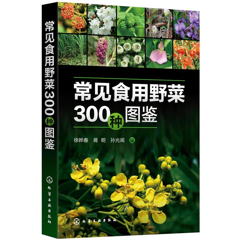 【全新正版包邮】常见食用野菜300种图鉴徐晔春,蒋明,孙光闻 编9787122387745