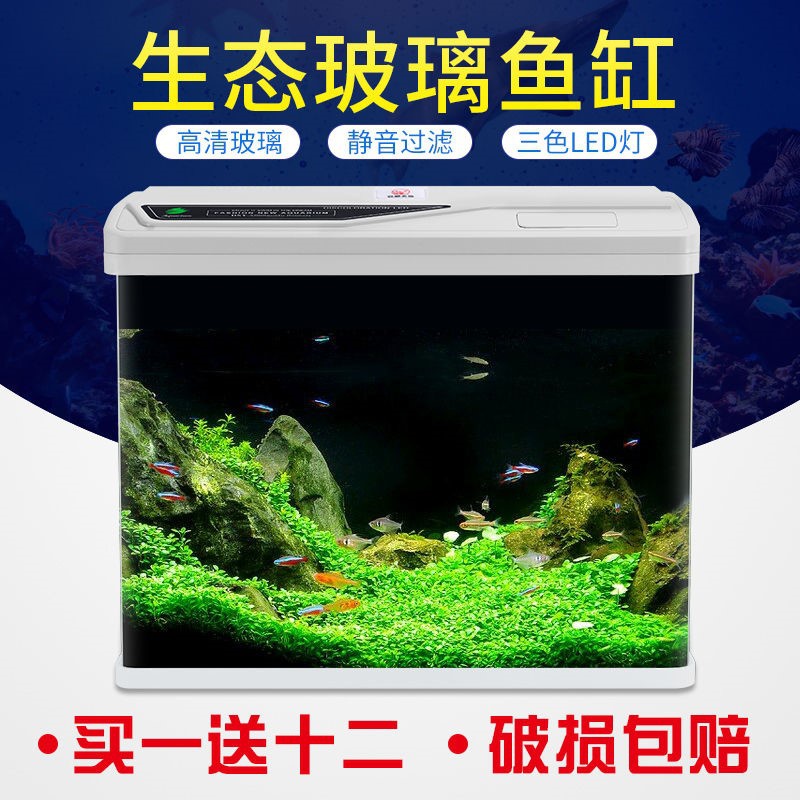 小水族箱80cm_水族箱80cm懒人玻璃小鱼缸中大型超白客厅免换水60公分1