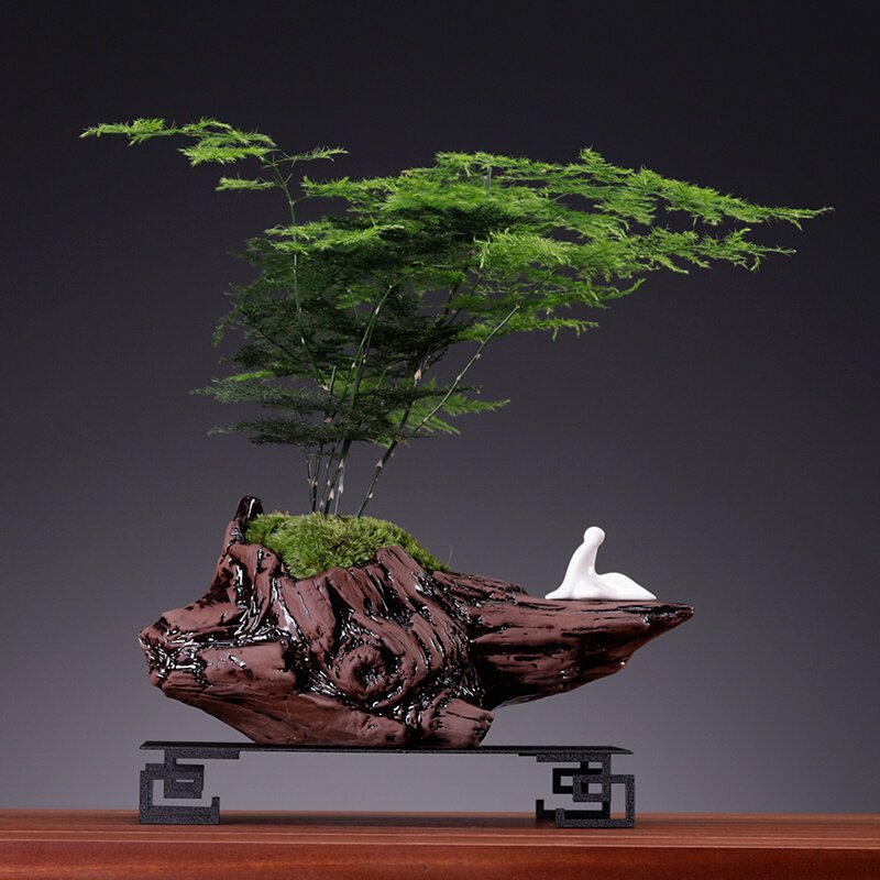 创意文竹盆栽植物禅意造型盆景室内办公室小绿植客厅四季常青摆件