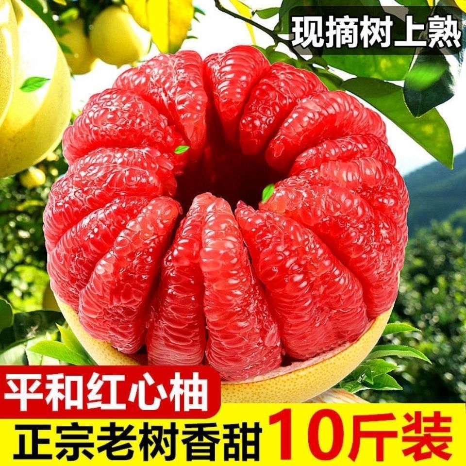 【超甜】红心蜜柚红肉柚子应季新鲜水果三红柚福建平和红柚