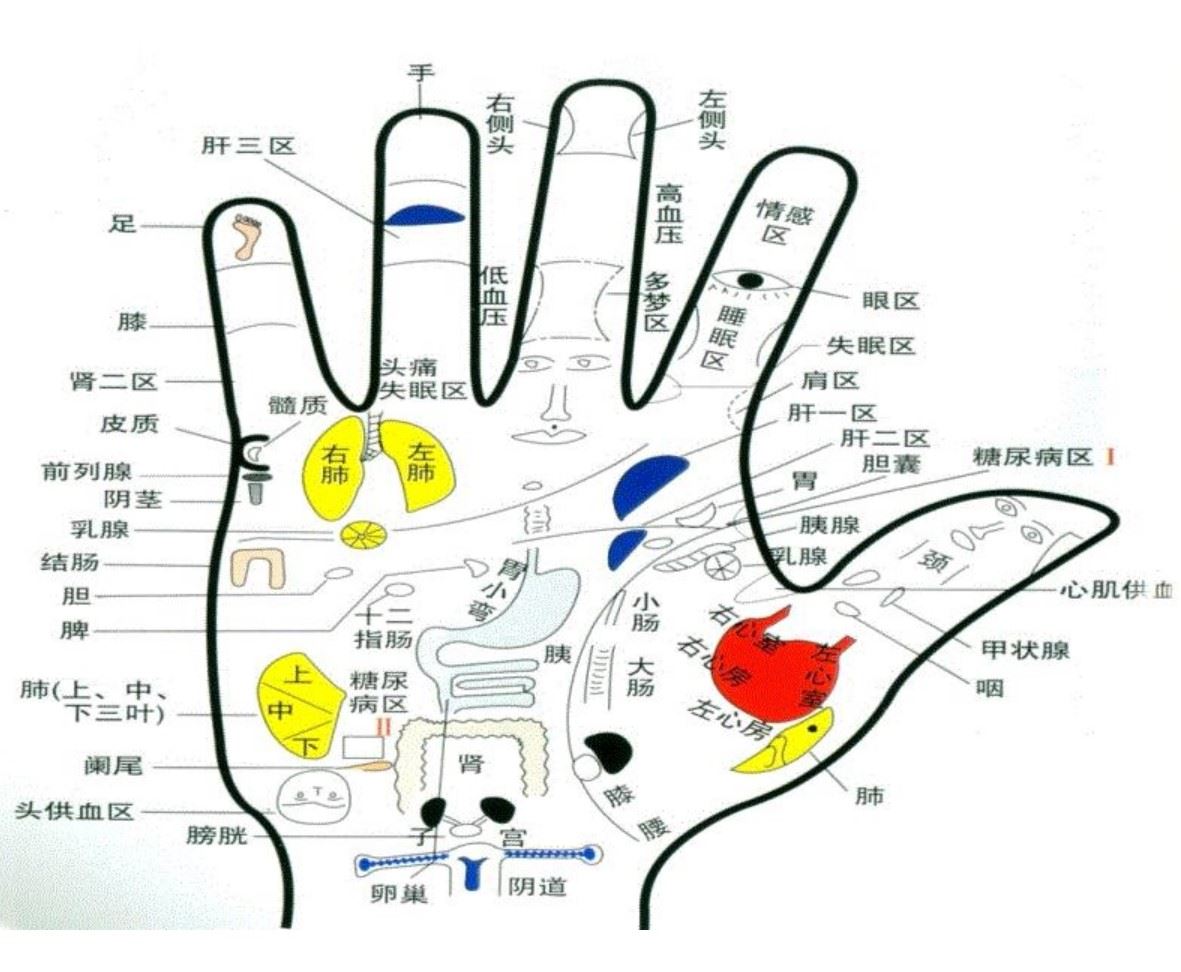 季秦安特色中医反射区手诊手疗专业细致培训班视频 电子书讲义