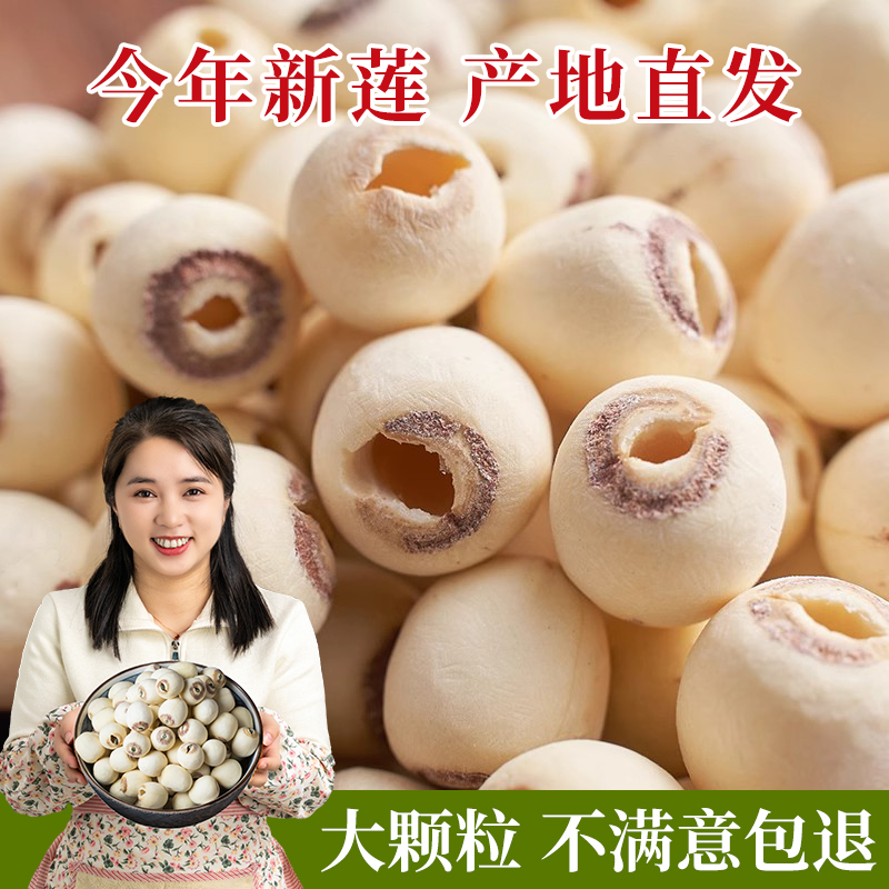 【今年新货】大颗粒莲子干货500g