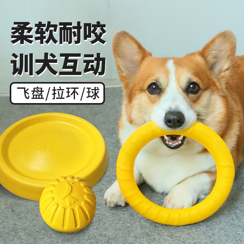 宠物狗狗玩具飞盘飞碟解闷神器用品耐咬磨牙柯基边牧玩具球弹力球在类目 宠物/宠物食品及用品, 猫/狗玩具, 飞盘中 - 来自Buy2taobao.com提供专业的淘宝代购服务