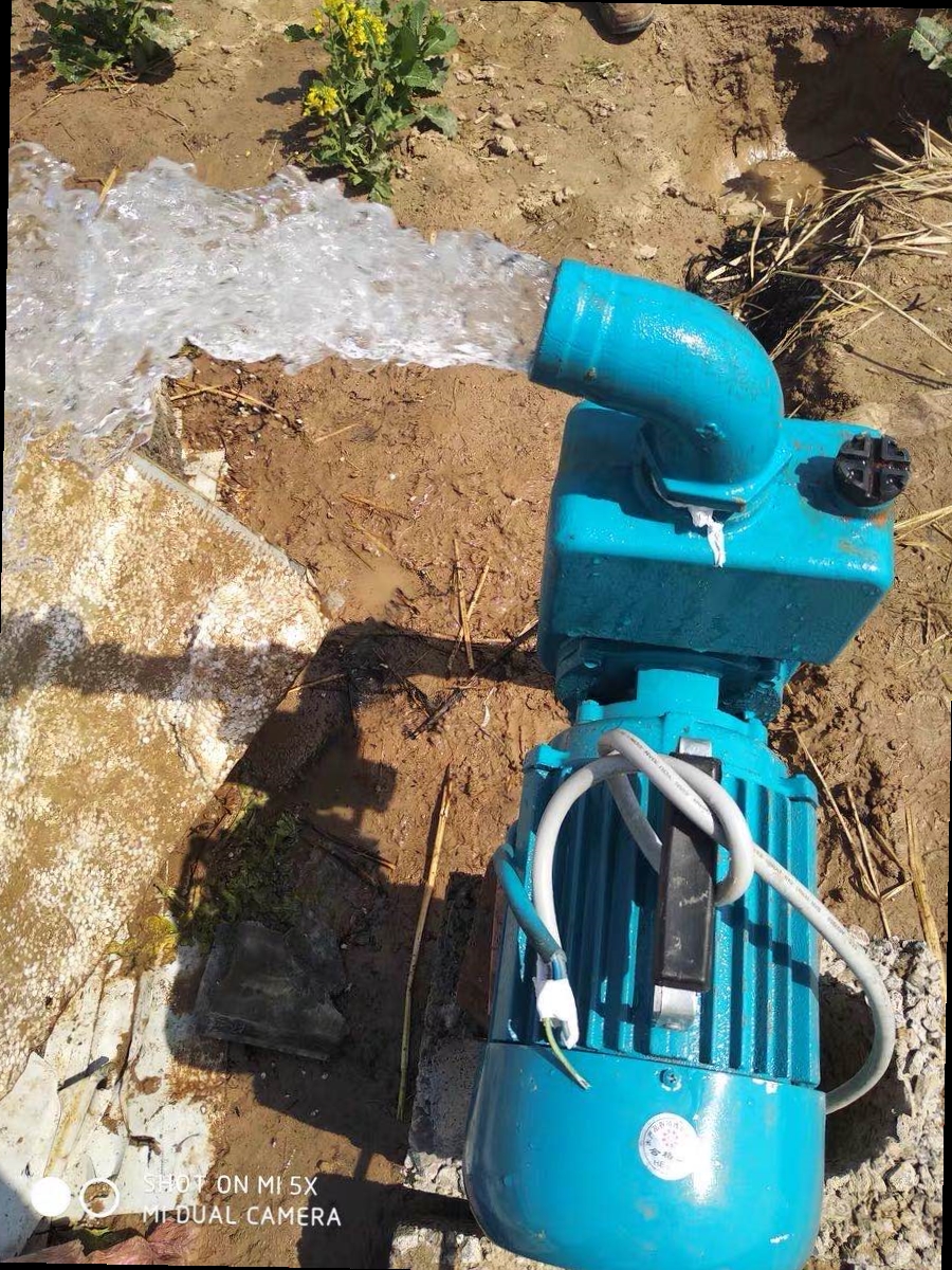 泵化粪池堵塞抽水泵抽家用无排污吸污泵污水g自离心无堵塞.污水