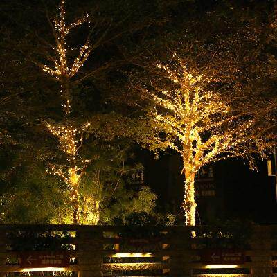 挂树上的装饰灯户外树上挂灯缠绕亮化灯带室外彩灯新年春节挂在