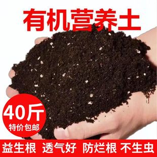 花土营养土通用种菜专用土壤盆栽多肉养花种菜专用种植泥土有机土