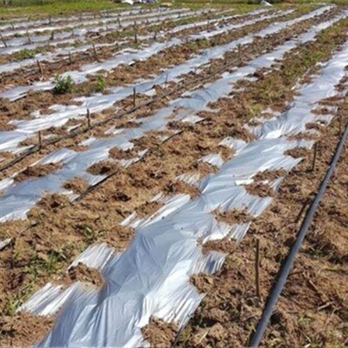 银除草黑地膜双色果树虫葡萄保湿净重银灰防果园农用地膜薄膜反